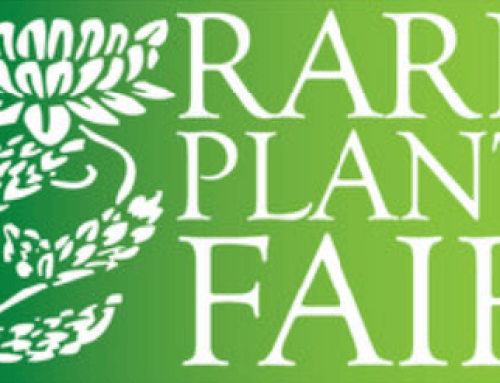Rare Plant Fair